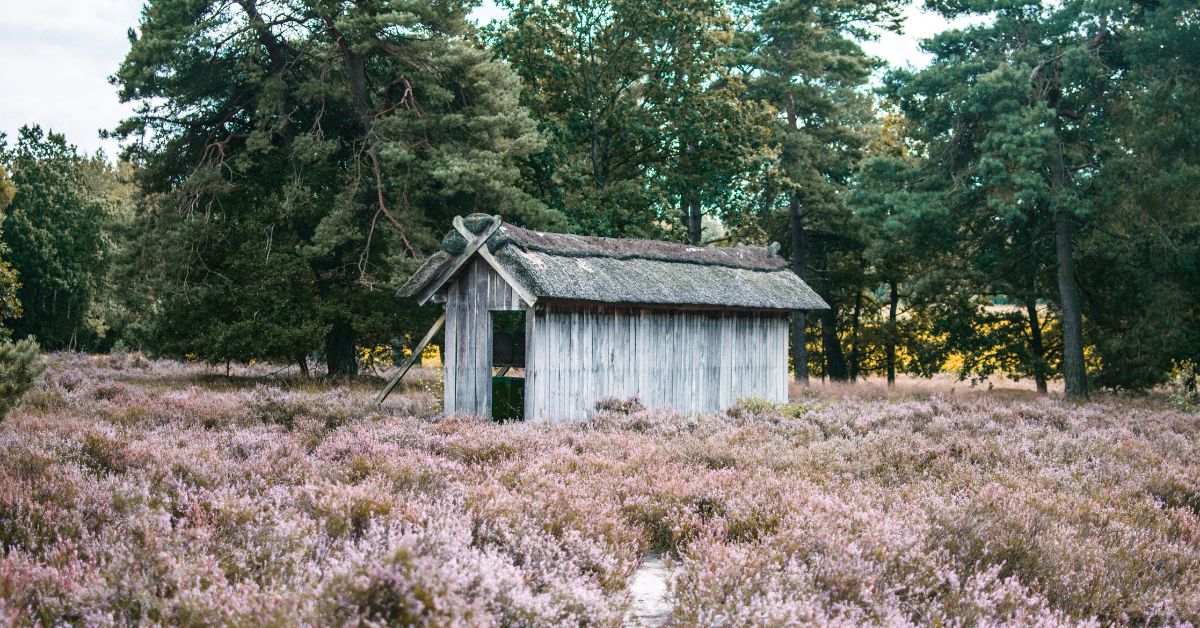 lüneburger-heide